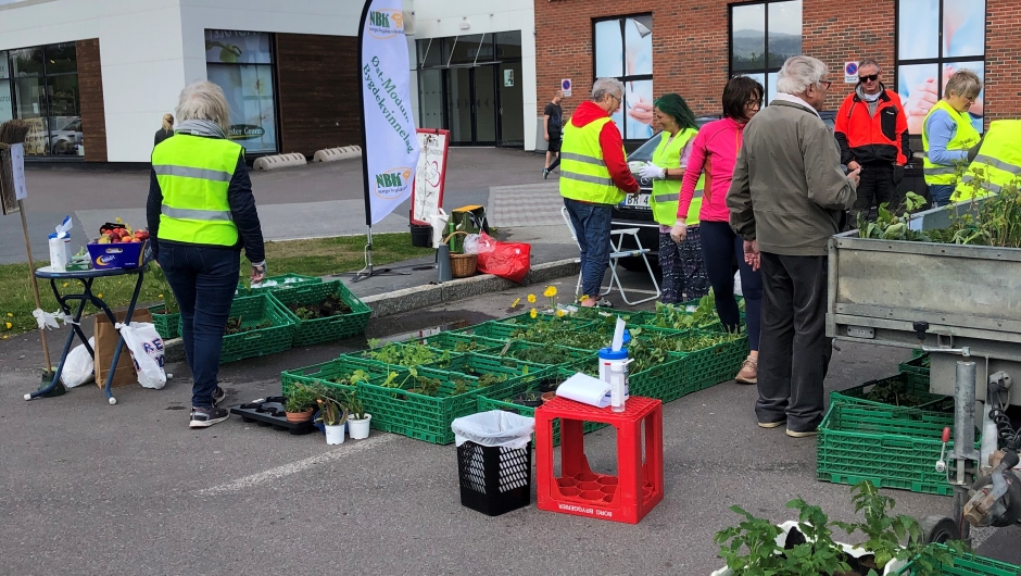 Grøntloppemarked i Vikersund. Foto: Gro Rundbråten Øst-Modum Bygdekvinnelag grøntloppemarked Vikersund