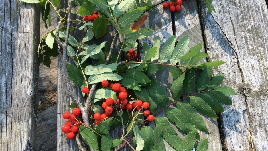 Bordpynt var det også