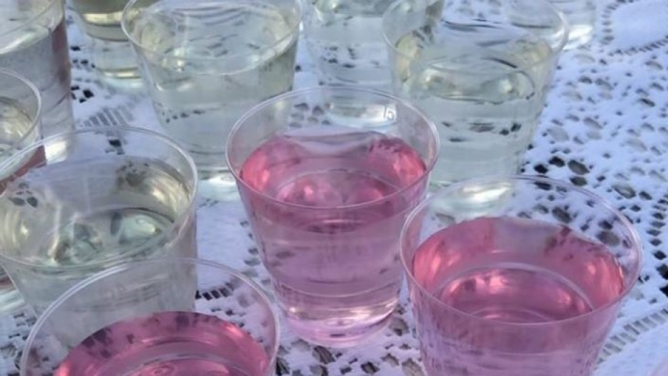 Saft av mjødurt og geitrams Saft av mjødurt og geitrams