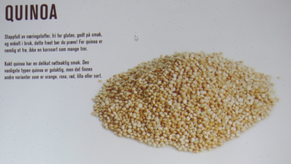 Quinoa, frø fra Andesfjellene