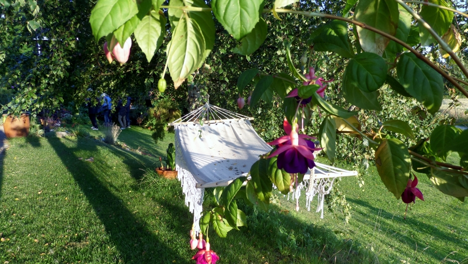 Hengekøya - blir nok ikke mye brukt!