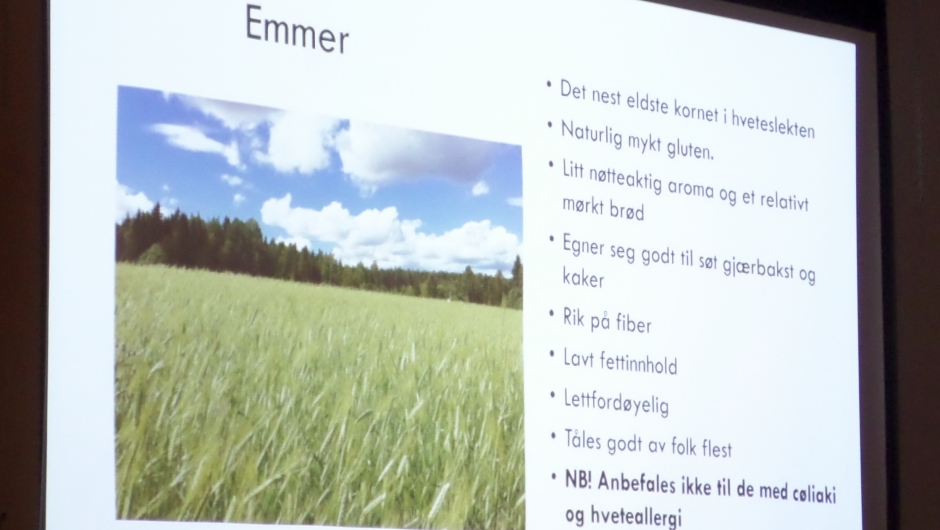 Om urkorn! Om urkorn!