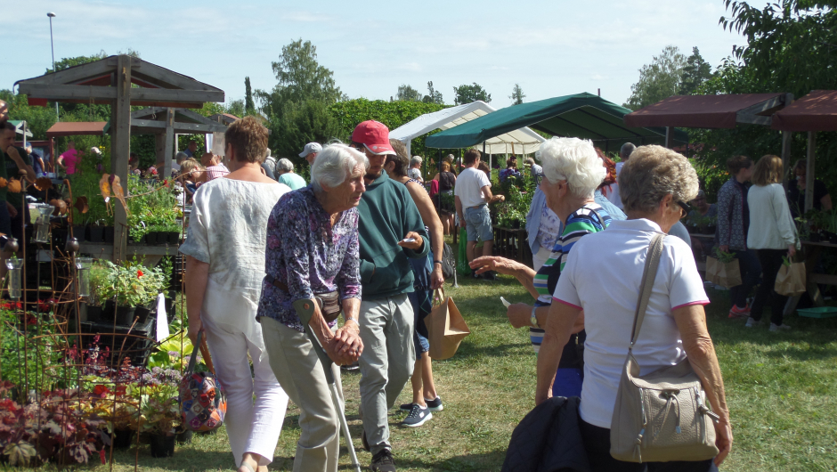 Bygdekvinner, Gerd og Inger m.fl.
