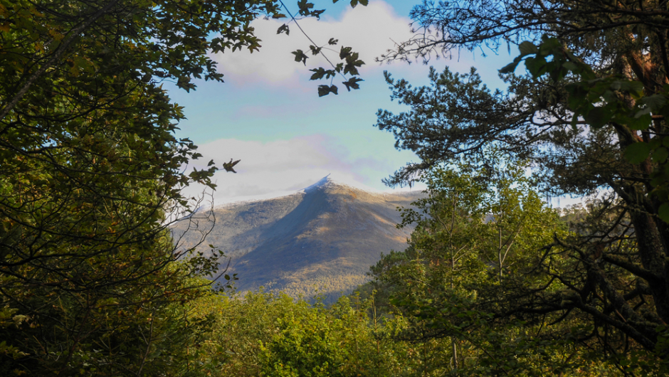 Litt utsikt Fjelltopp mellom igjengrodde stier