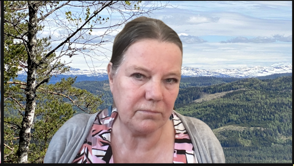 Påtroppende leder Påtroppende leder