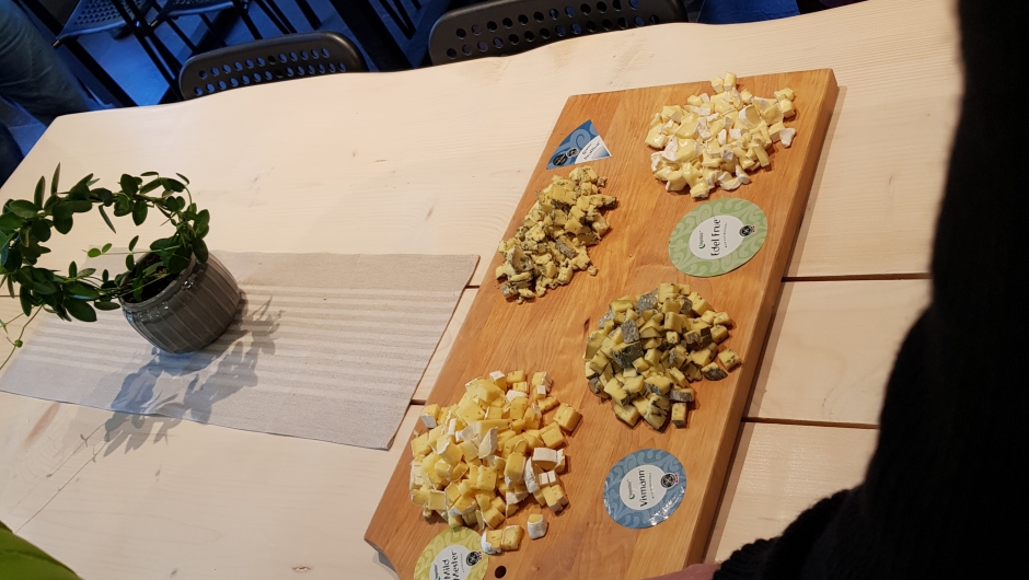 Smaks prøver av 4 oster