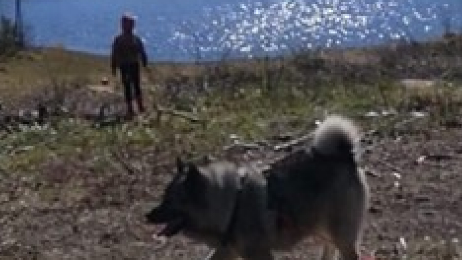 Flott med tur Alle må med - disse turene passer for både to- og firbente