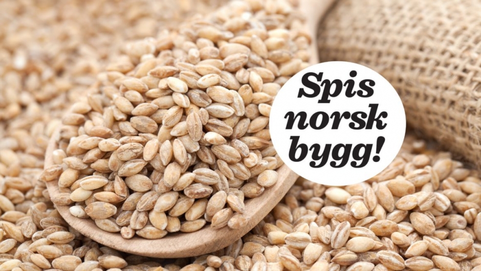 Spis norsk bygg Spis norsk bygg