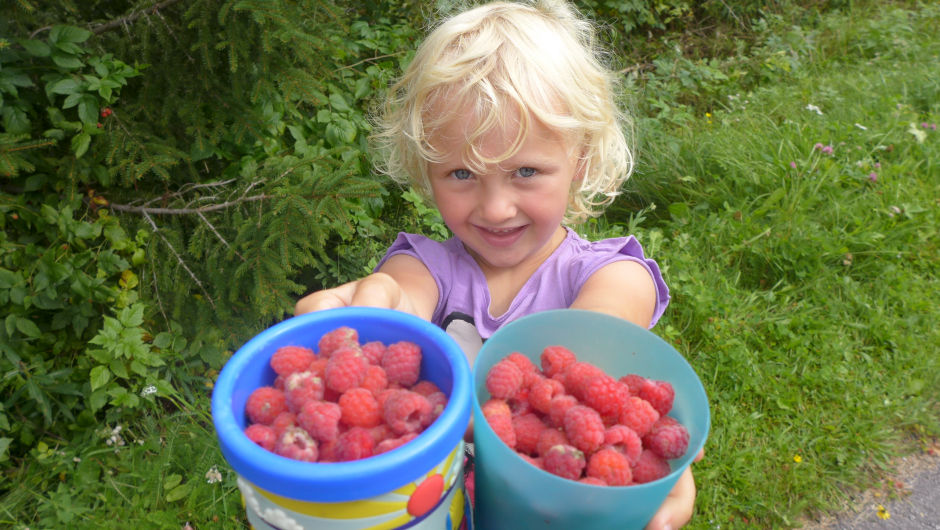 Store, fulle spann. Store, fulle spann.