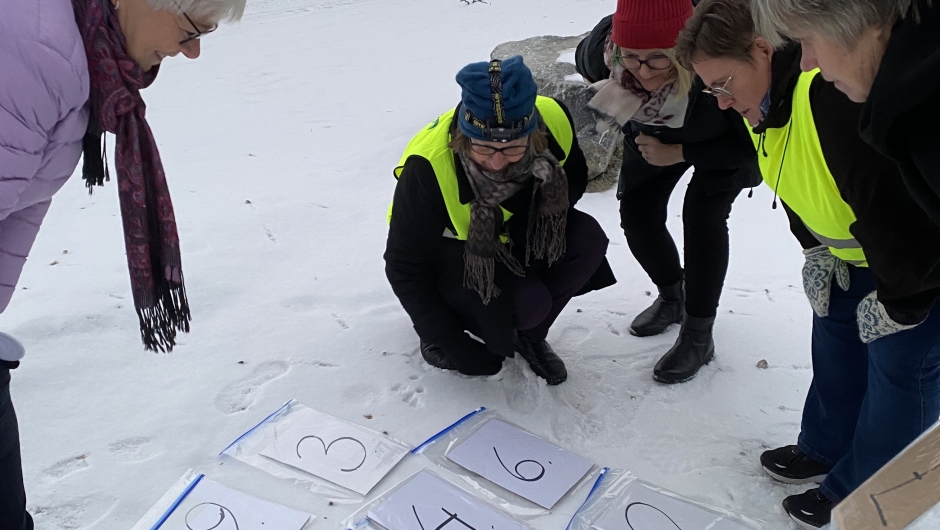 Tallek, summen skal bli 15 alle veier Tallek, summen skal bli 15 alle veier