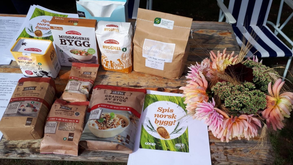 møte med tema bygg møte med tema bygg