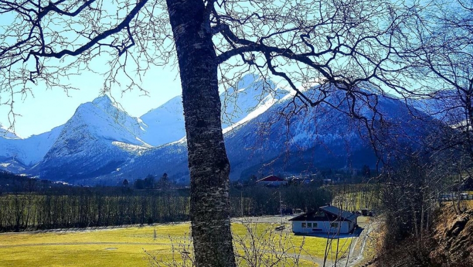 Tresfjorden Bygdekvinnelag Tresfjorden Bygdekvinnelag