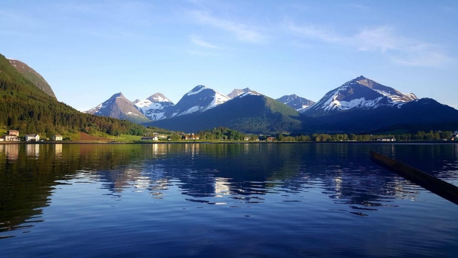 Tresfjorden Bygdekvinnelag Tresfjorden Bygdekvinnelag