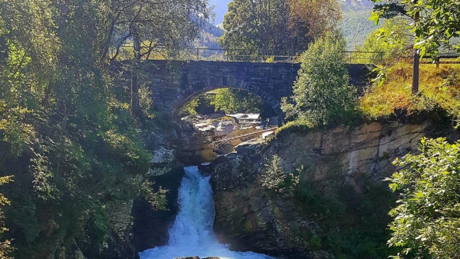 Tresfjorden Bygdekvinnelag Tresfjorden Bygdekvinnelag