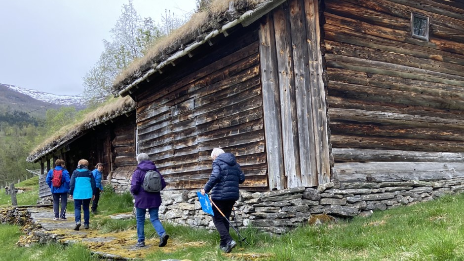 Oppheim og Hauge Bygdekvinnelag på fin kveldstur. Foto: Bjørg Håland
