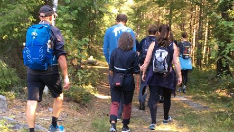 Inn i skogen ved Ringvoll