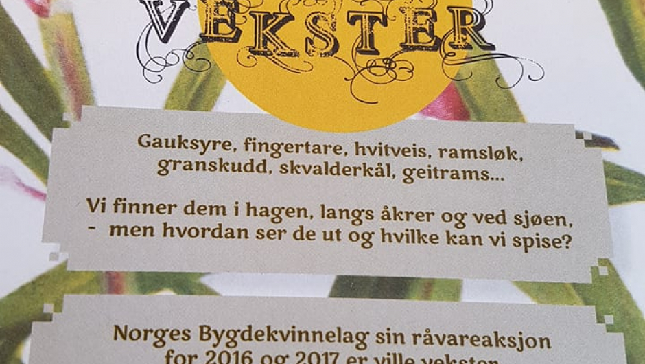 Norges Bygdekvinnelag satsningsområde 2017