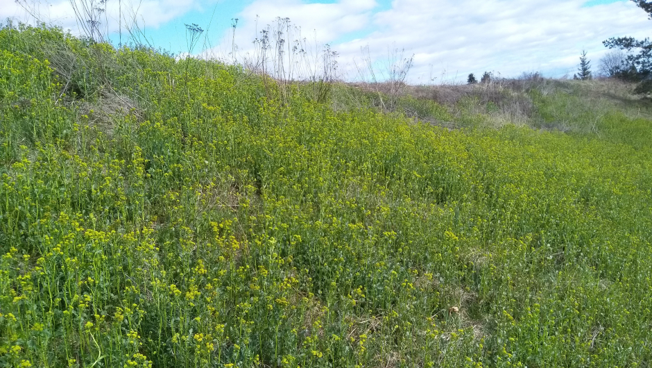 Skråningen full Skråningen full